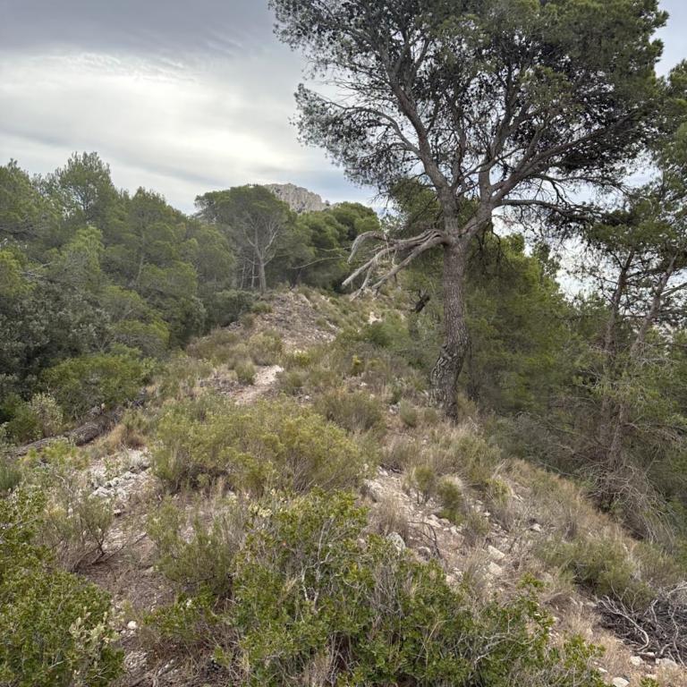Casa Kai Altea - Torre de Bellaguarda - Casa con 1 dormitorio - 33