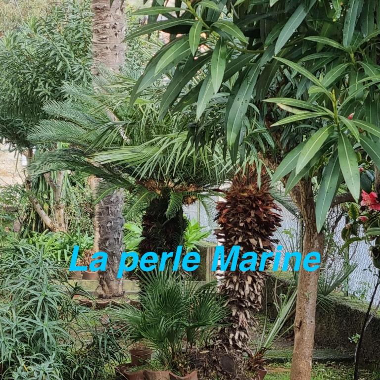 La perle Marine - Appartamento con 2 Camere da Letto - 1
