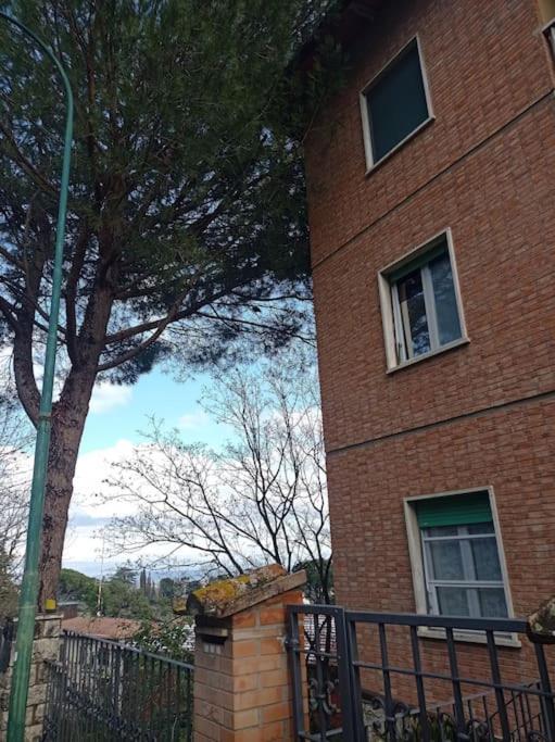 Splendido ampio appartamento a Montepulciano - Appartamento con 2 Camere da Letto e con Vista - 29