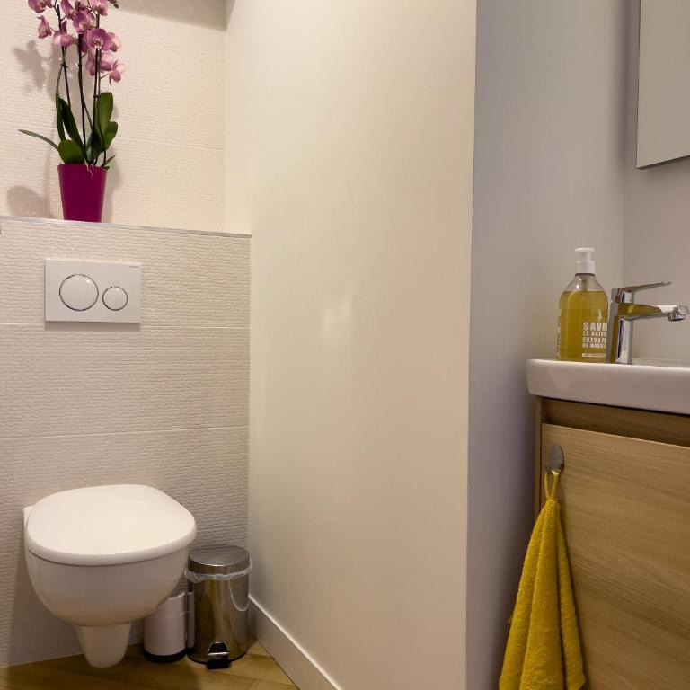 La Maison Régent & spa - Plage de la Baule - Appartement 2 Chambres - 16