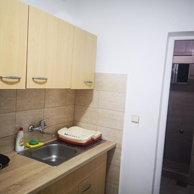 Kuća Todorović - Apartman - Prizemlje - 4
