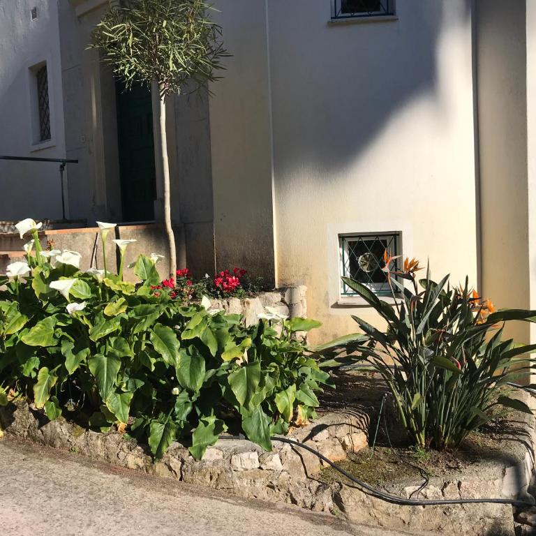 "L'olivadou" ST JEAN CAP FERRAT - Appartement - 23