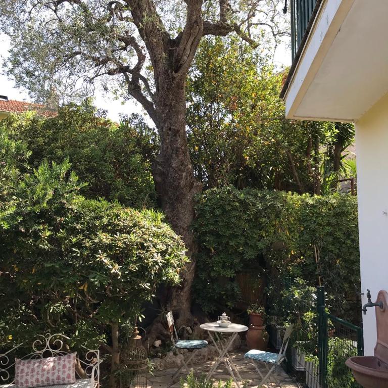 "L'olivadou" ST JEAN CAP FERRAT - Appartement - 19