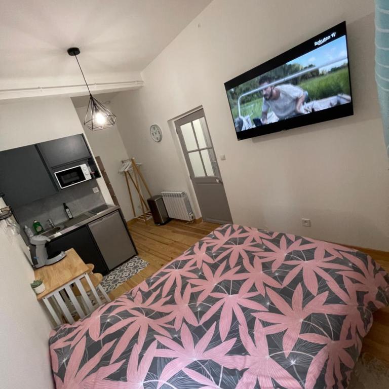 Studio #1 hyper centre Gordaine - Appartement 1 Chambre - 2