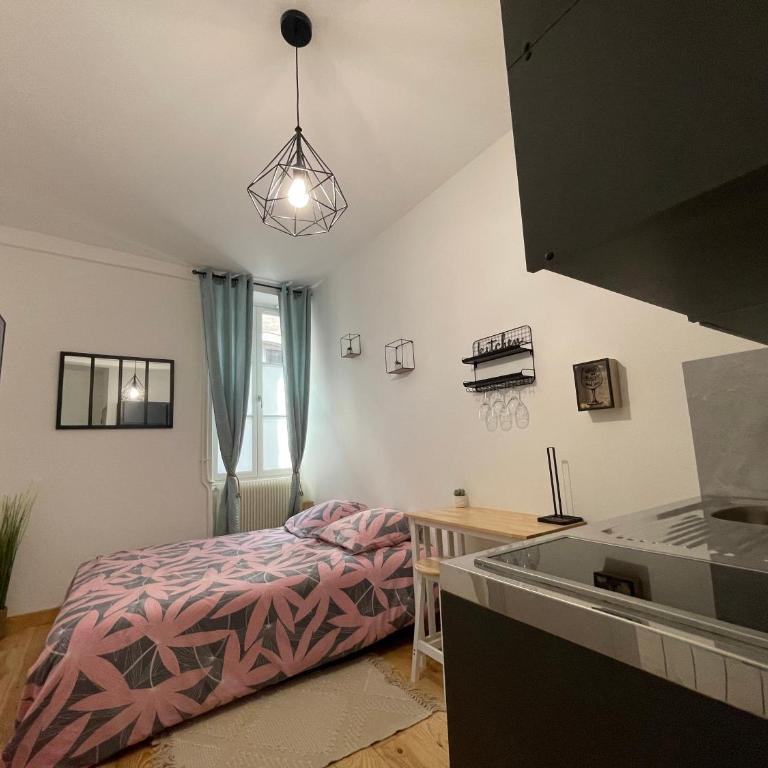 Studio #1 hyper centre Gordaine - Appartement 1 Chambre - 4