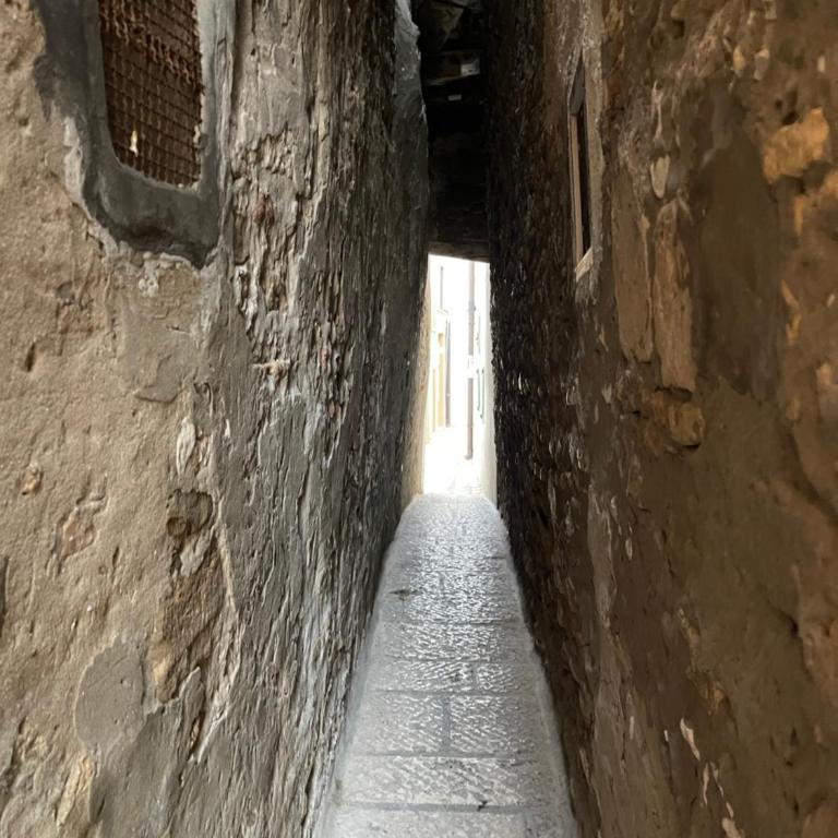 La Finestra Sul Porto - Casa con 1 Camera da Letto - 64