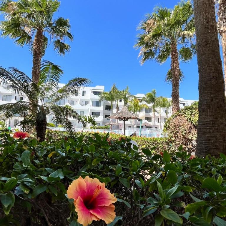 El Sueño Ocean Lanzamar - Puerto Del Carmen - Apartamento de 1 dormitorio - 22