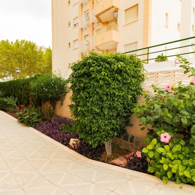 BONITO APARTAMENTO EN PLAYA DE GANDIA - Apartamento de 1 dormitorio - 21