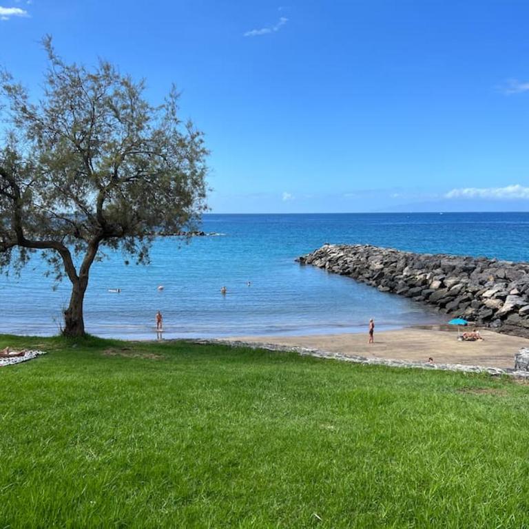 Studio apartment with large terrace and ocean view - Apartamento de 1 dormitorio - 40