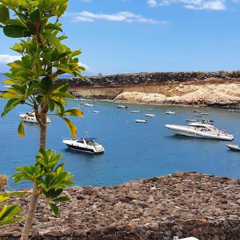 Studio apartment with large terrace and ocean view - Apartamento de 1 dormitorio - 45
