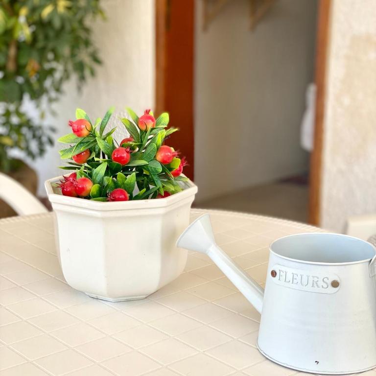 Monolocale bouganville - Lo Stagnone Isole Egadi - One-Bedroom House - 2