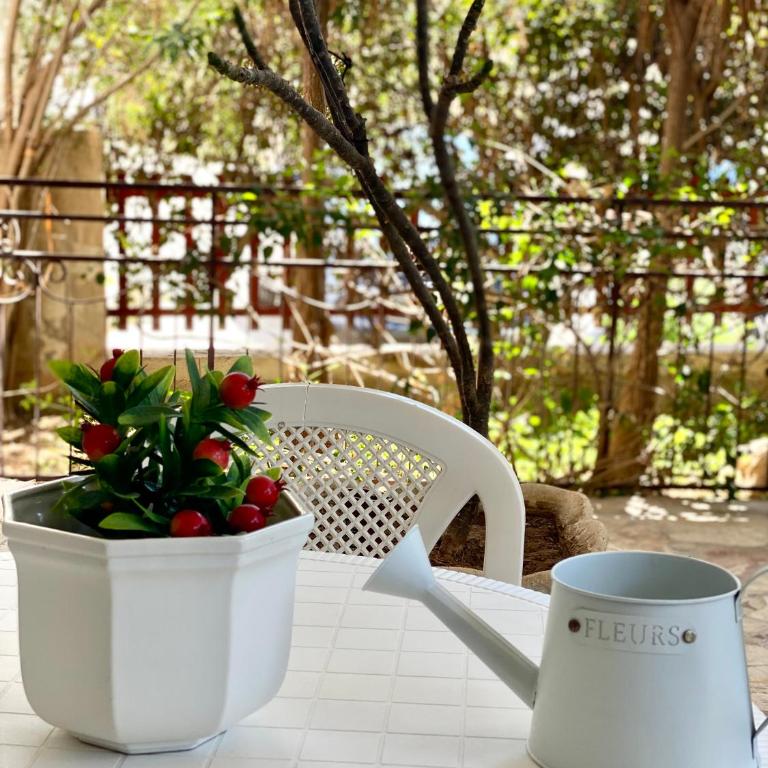 Monolocale bouganville - Lo Stagnone Isole Egadi - One-Bedroom House - 14