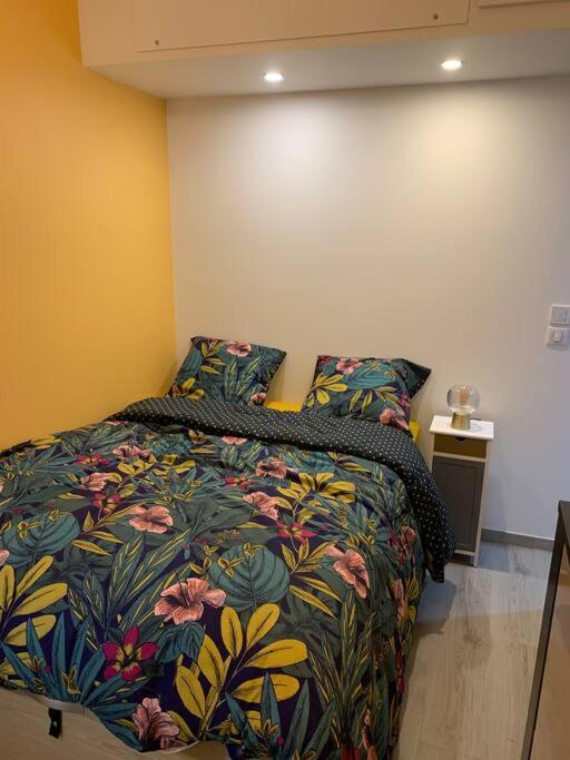 Appartement Etat neuf La Chantalane -proche centre-ville - Appartement 1 Chambre - 11