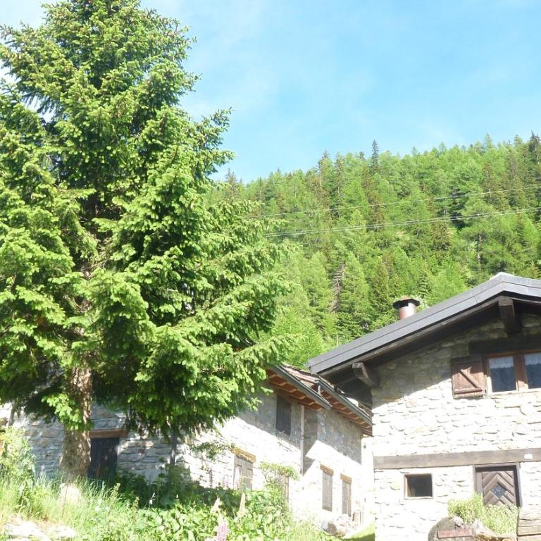 Il Refuge CIR 119 - Appartamento con 3 Camere da Letto - 5