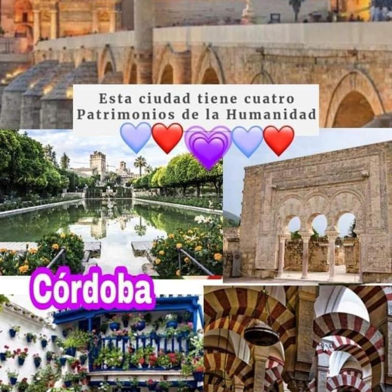 GRUPO LIMCOTEL EL PASEITO DE CONCHA-MEsQUITA-PARKING - Apartamento de 2 dormitorios - 62