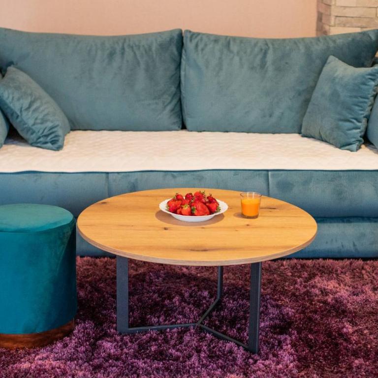 Apartman KOSTA - Apartman sa 1 Spavaćom Sobom - 17