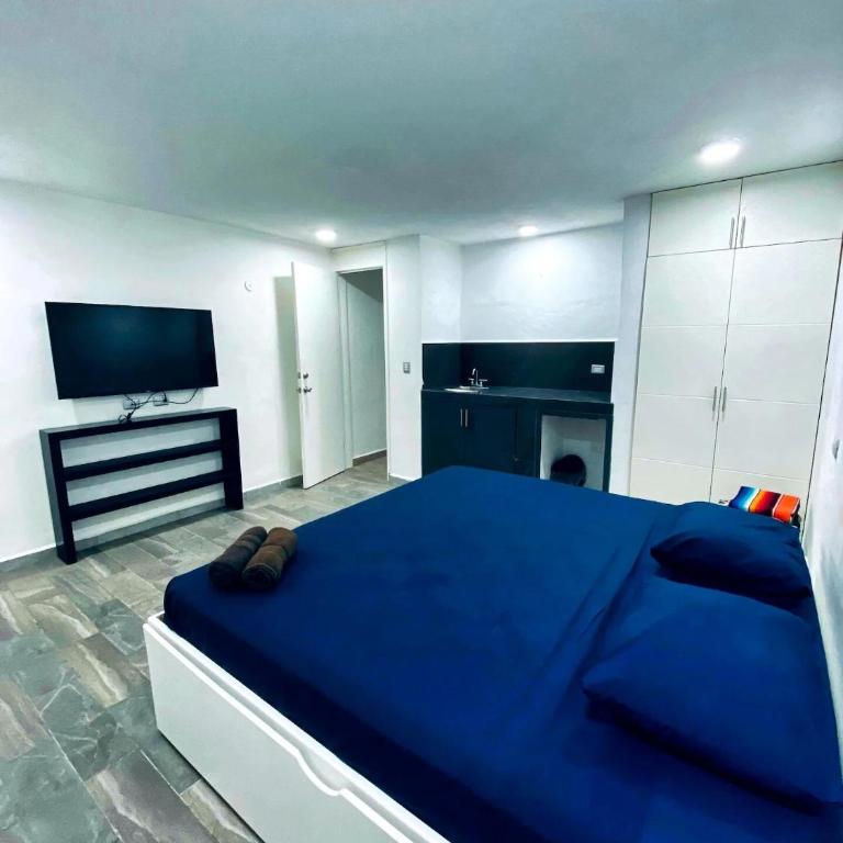 La Perle Noire - Dive Hotel Cozumel - Habitación Estándar - Cama extragrande - 14
