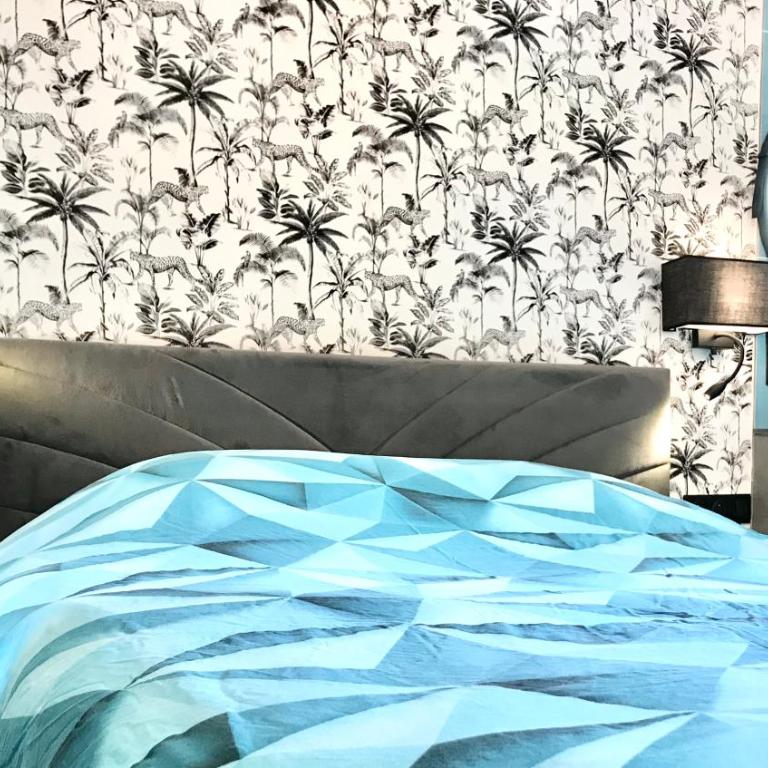 Les cocons du bassins - Logements neufs tout équipés proche littoral - Maison 1 Chambre - 1