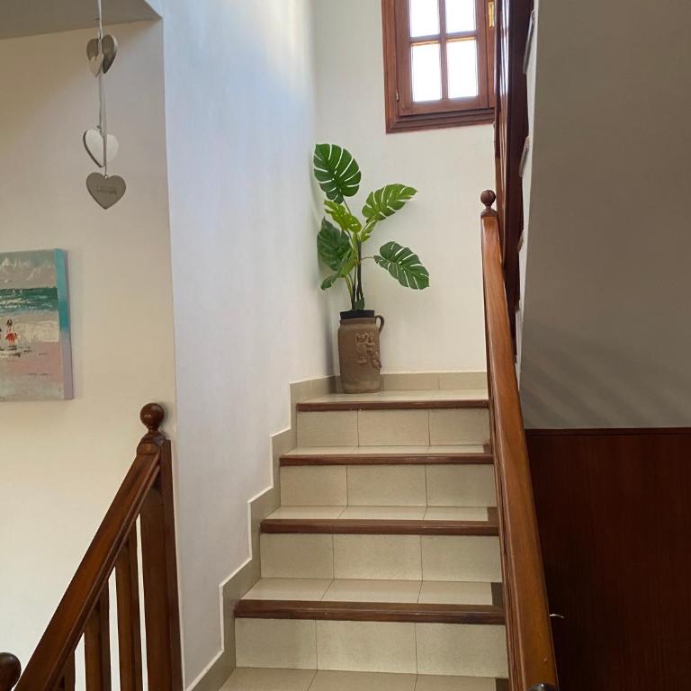 Villa Tropicana - Three-Bedroom Villa - 18