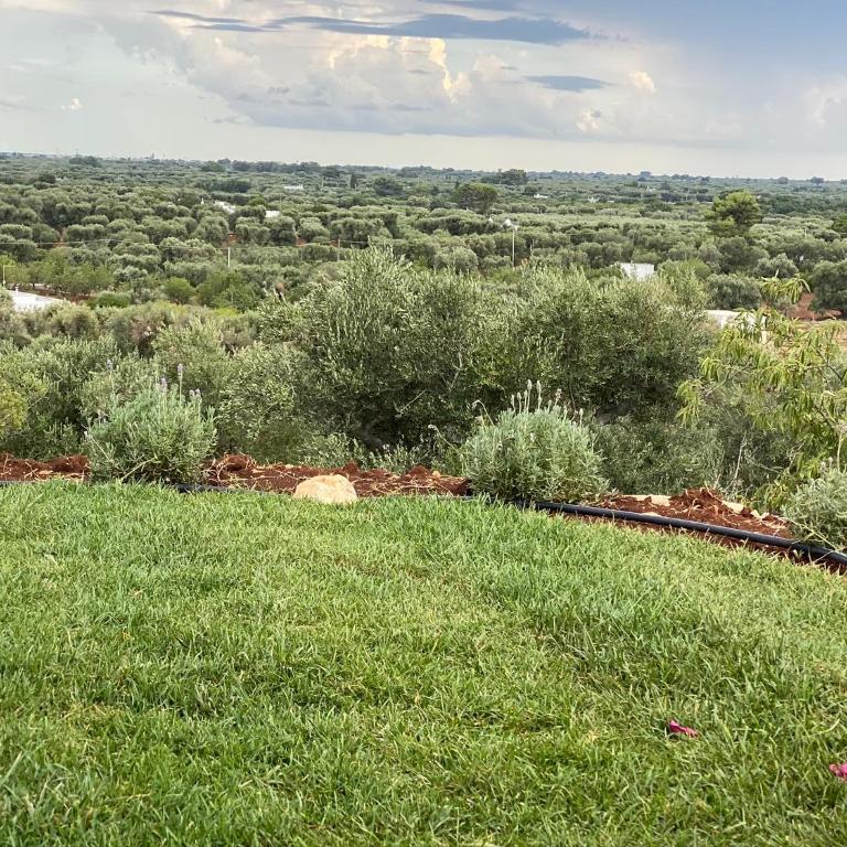 Tenuta Lamia degli Ulivi - Ostuni Puglia - Ancient Lamia and Modern Villa - Villa - 12