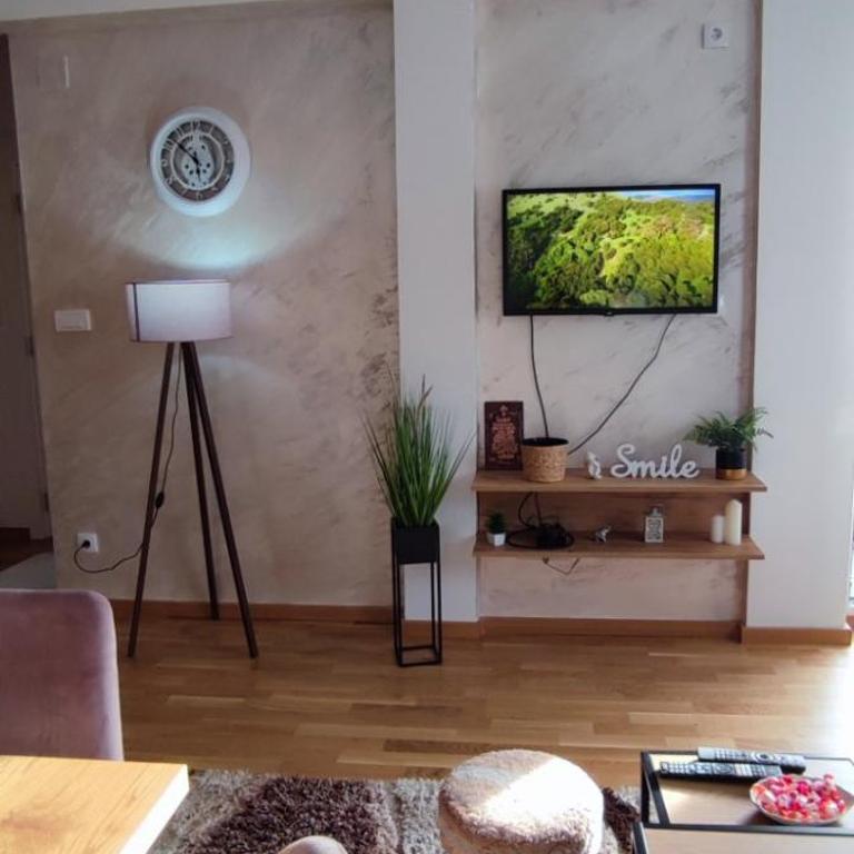 Verona Lakic Vrnjacka Banja - Apartman sa 1 Spavaćom Sobom - 33