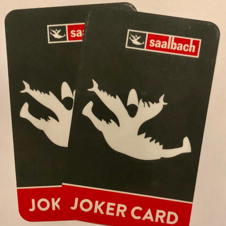 Saalbacher Perle Top 3 - JOKERCARD INCLUDED IN SUMMER - Apartment mit 2 Schlafzimmern - 2