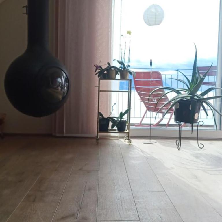 Loft la plus belle vue du lac Léman Montreux - Deluxe Apartment - 23