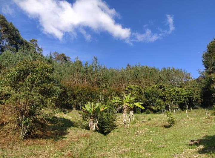 Cabaña Luna Verde - Cottage with Garden View - 27