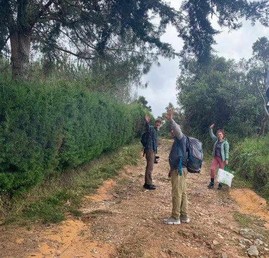 Cabaña Luna Verde - Cottage with Garden View - 33