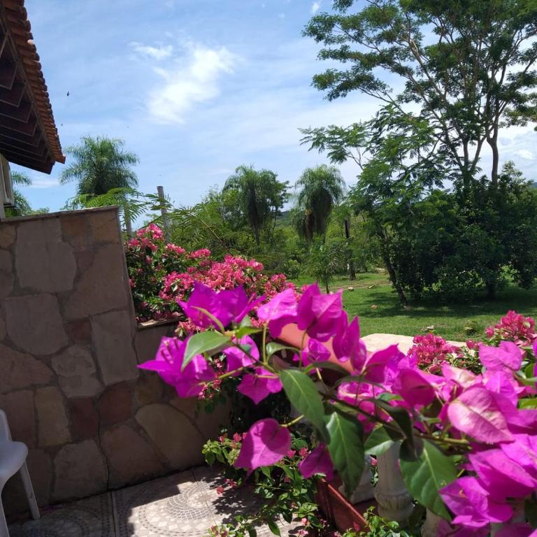 Resort Sport - Suite with Balcony - 2
