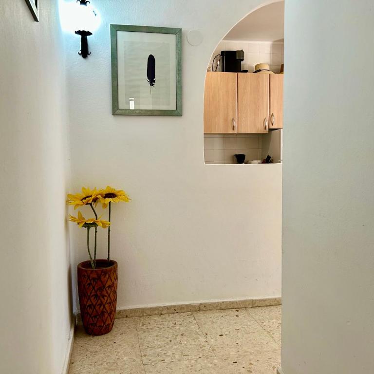 Casa con terraza y hermoso jardín comunal - Casa de 2 dormitorios - 11