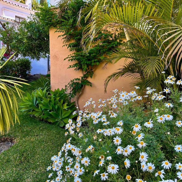 Casa con terraza y hermoso jardín comunal - Casa de 2 dormitorios - 25
