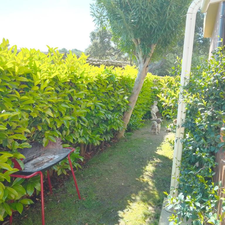 Bilo Noel - One-Bedroom Apartment - 24