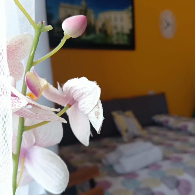Sapore di Sale - Sicily Rooms - Deluxe Junior Suite - 8