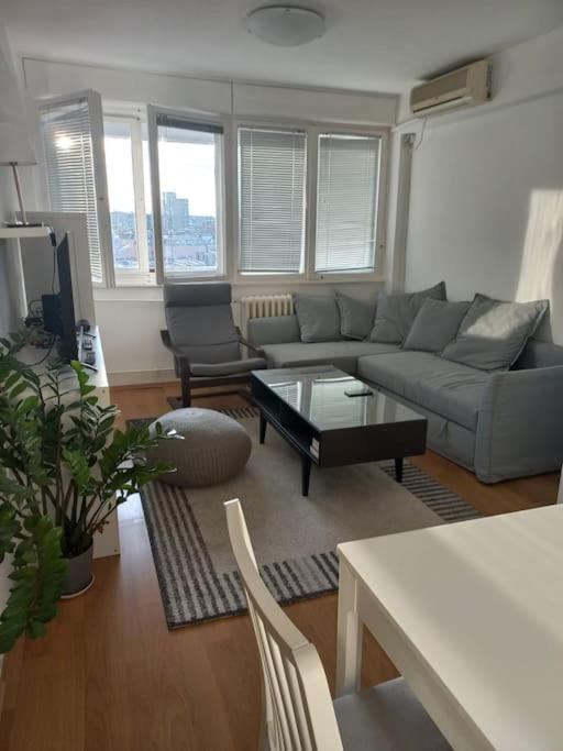 Cvijićeva - Apartman sa 1 Spavaćom Sobom - 1