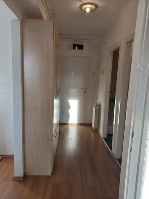 Cvijićeva - Apartman sa 1 Spavaćom Sobom - 2