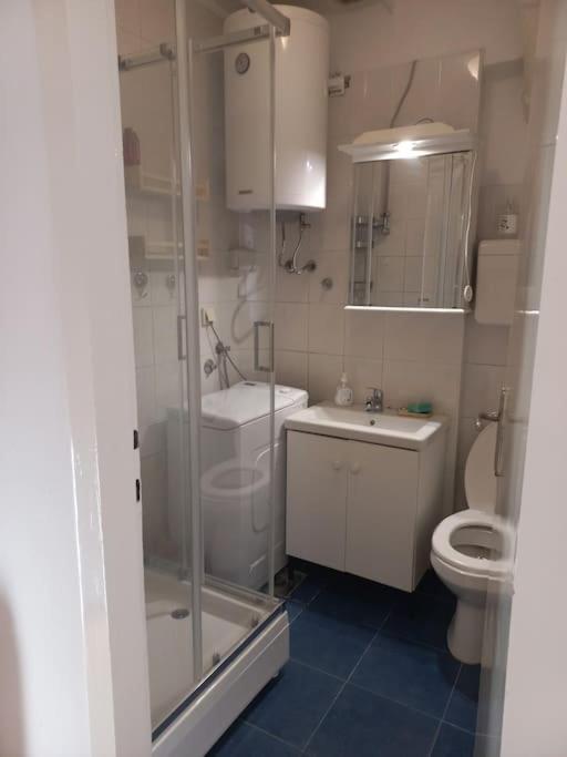 Cvijićeva - Apartman sa 1 Spavaćom Sobom - 3