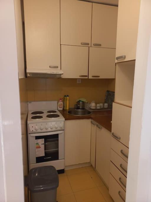 Cvijićeva - Apartman sa 1 Spavaćom Sobom - 4