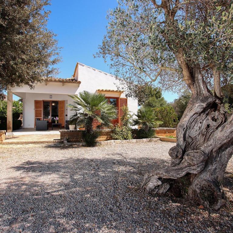 Villa La Vinya Can Oliver - Oliver - Villa - 38
