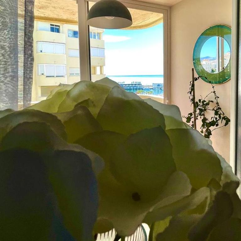 Puerto Paraiso Estepona port - Apartamento de 1 dormitorio - 37