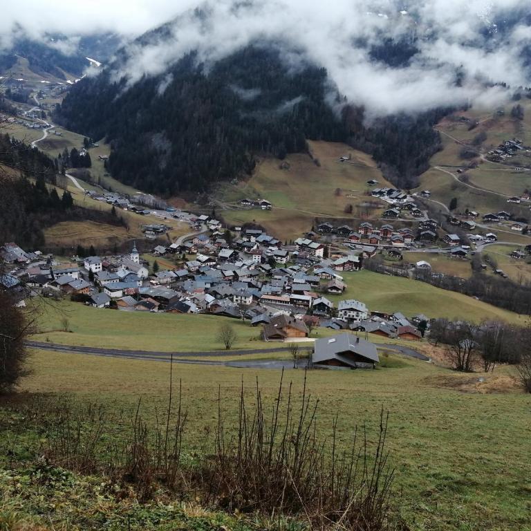 Le Chamois - Appartement 1 Chambre - 14