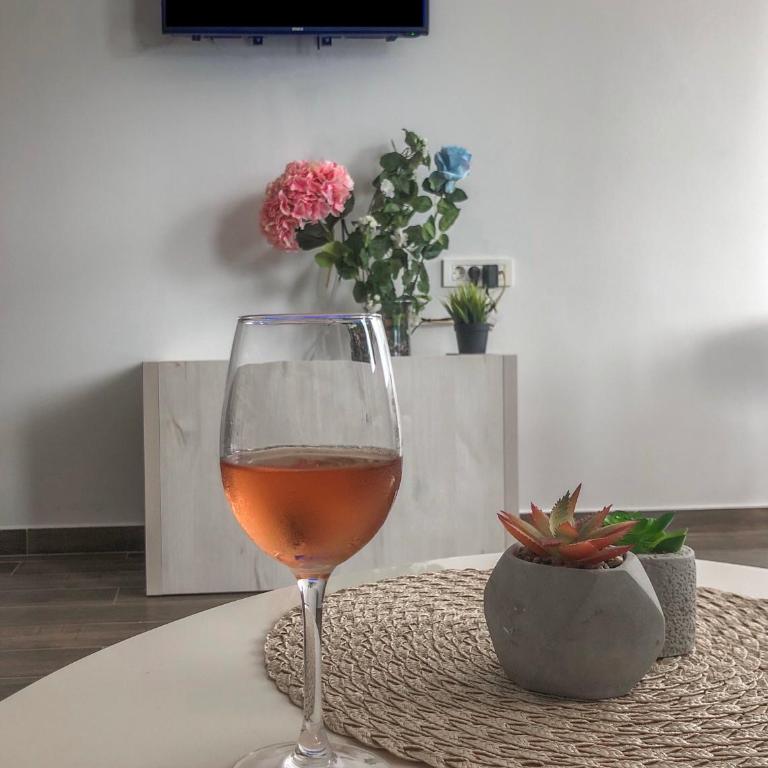 Timea Apartment - Apartman sa 1 Spavaćom Sobom - 11