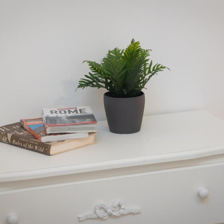 Angelico By Rental in Rome - Apartment mit 2 Schlafzimmern - 42