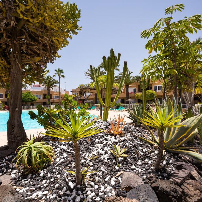 Home2Book Bright Apartment with Pool & Terrace - One-Bedroom Apartment - 16