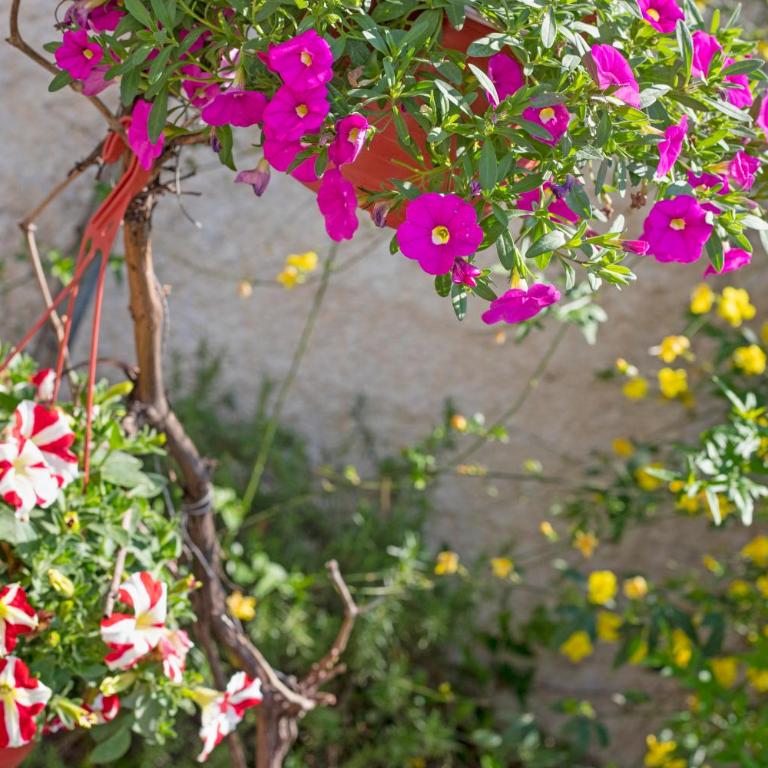 Apartments Casa Mia - Porodični Apartman s 2 Spavaće Sobe i Terasom - 30