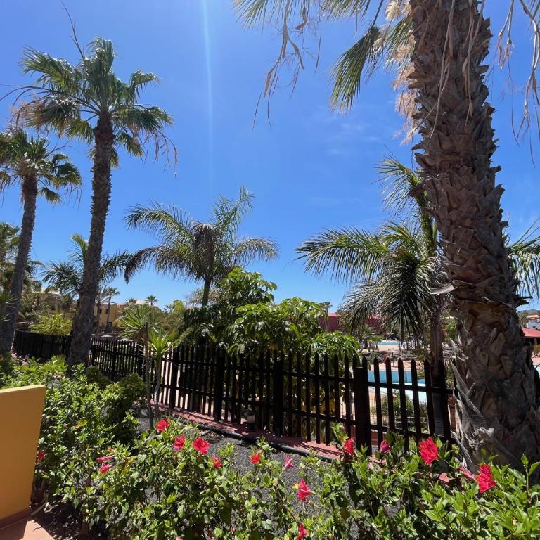 MY PRETTY HOME - Lovely and spacious surrounded by tropical gardens - private covered and uncovered terrace - pool - parking - FREE FIBRE OPTIC INTERNET - Apartamento con vistas a la piscina - 44