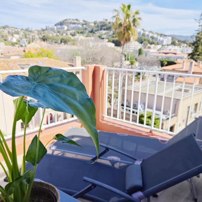 HOTEL DES CALANQUES Port de Cassis - Chambre Double avec Terrasse - 2