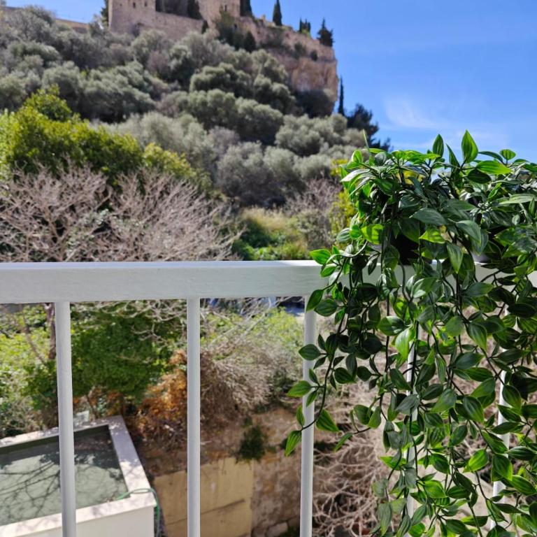 HOTEL DES CALANQUES Port de Cassis - Chambre Double - Vue sur Jardin - 5