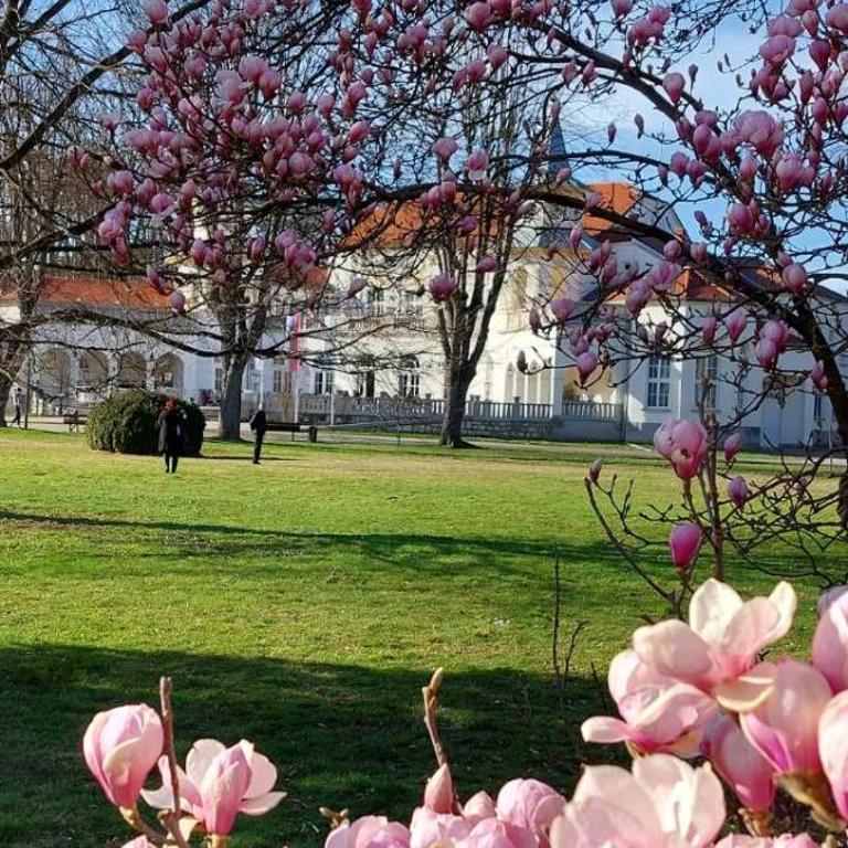 Apartman Milion Banja Koviljača - Apartman sa 1 Spavaćom Sobom - 25