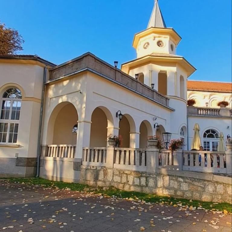 Apartman Milion Banja Koviljača - Apartman sa 1 Spavaćom Sobom - 23